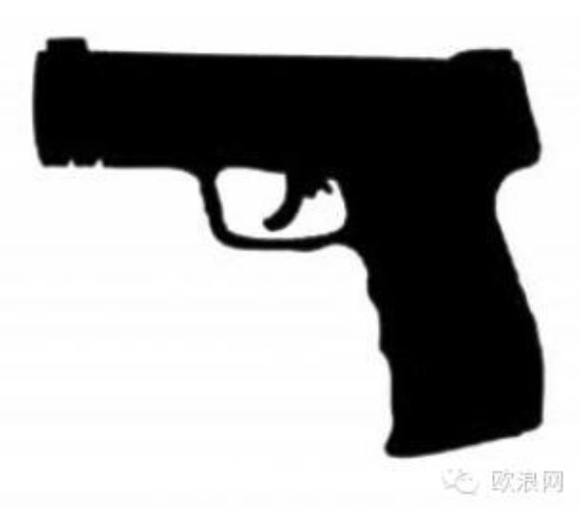 西班牙五名华人因非法持有杀伤性武器被捕