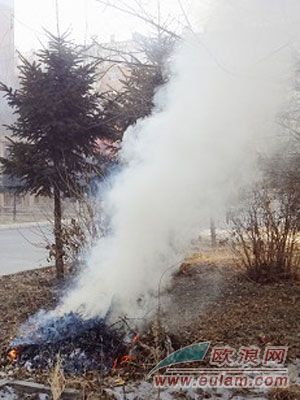 西班牙华人在自家私自燃烧树叶或将承担巨额罚款