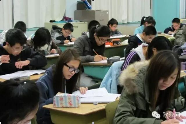 西媒体剖析新一代华人 华人在马德里：巨龙与杨梅的全新组合