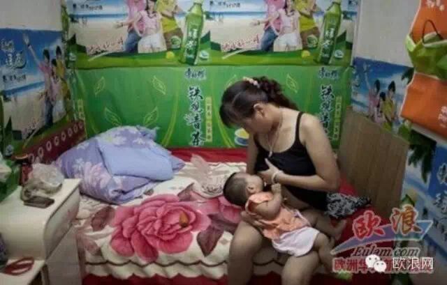 西媒体报道中国城市“鼠族”当地网民：西班牙也有“鼠族”