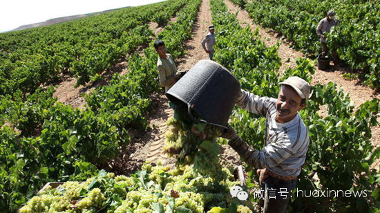 西班牙公共债务状况在好转 至11月在GDP的比重为93%