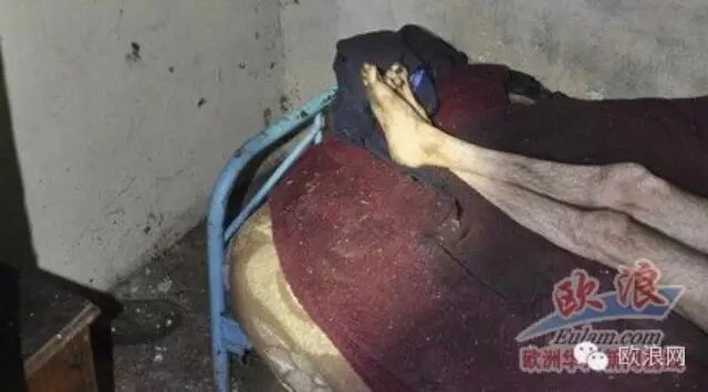 西班牙一男子被其家人监禁3平米鸽舍用来骗取养老金