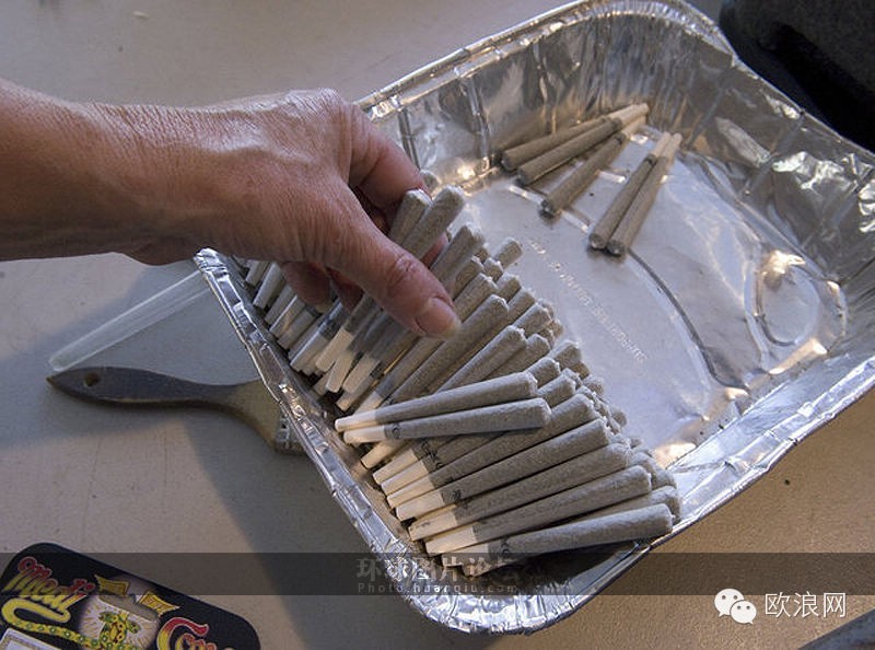 西班牙吸食大麻群体年低龄化 36%是未成年人