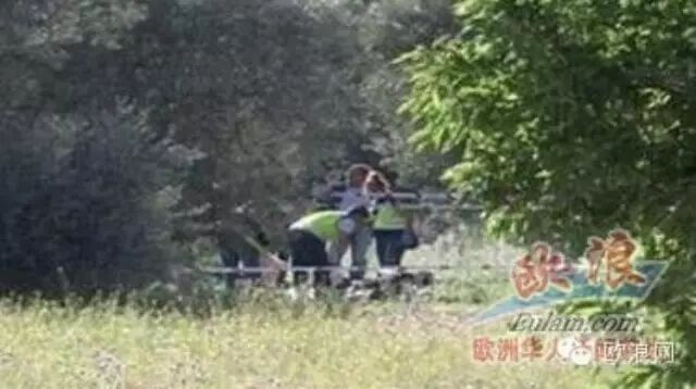 马德里郊区发现被肢解男尸 装背包里扔在