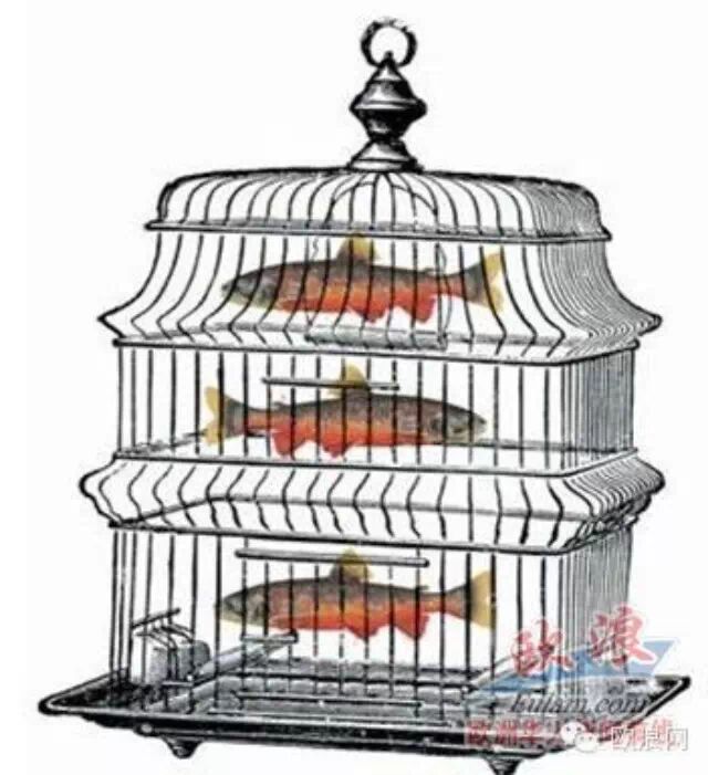 就在这个周六，西班牙“吃光最后一条鱼”