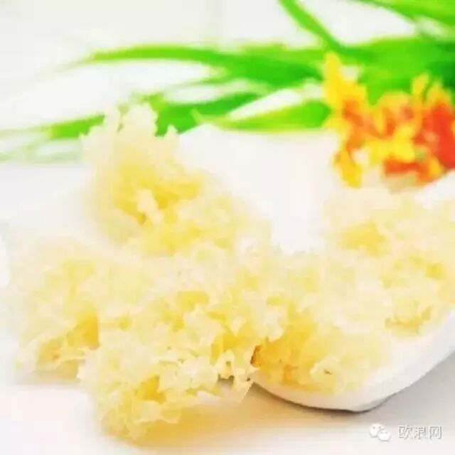 银耳的功效及做法，不可不知哦！