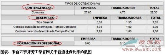 拉霍伊的社保“百元包月制”真相和算法上的低级错误