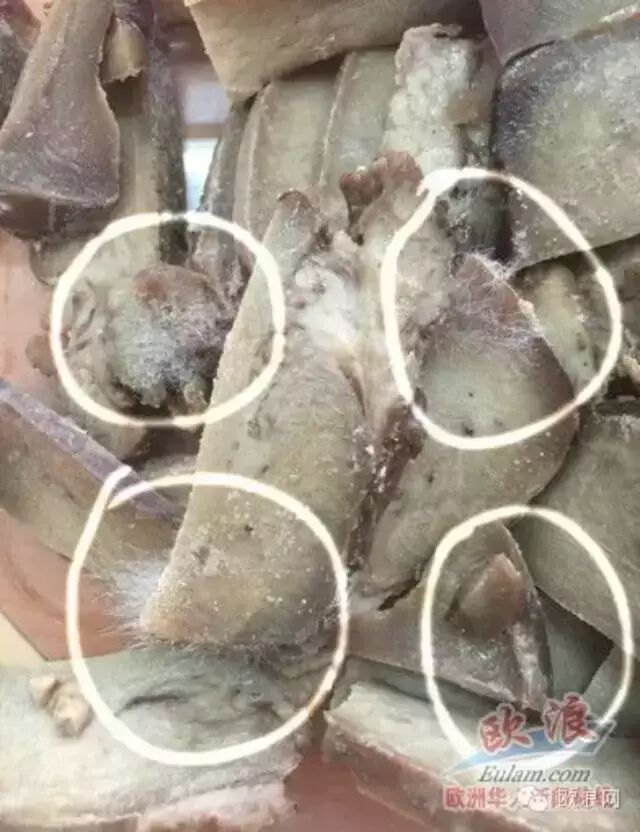 马德里又爆出食品危机，无论在哪都是华人心中不可触及的痛