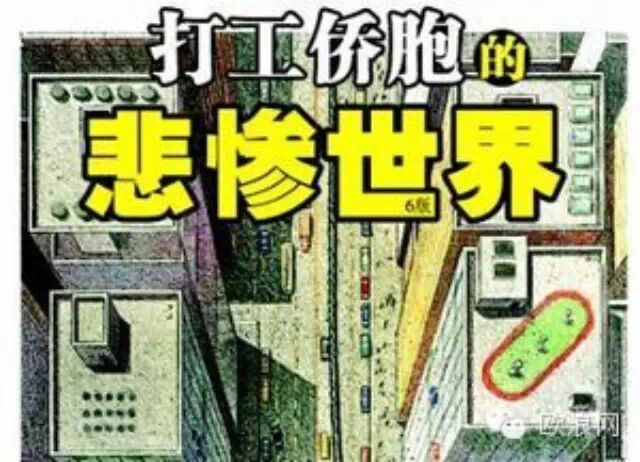 腿被炸断，手被警察打残，旅西侨胞打工所遭受的灭顶之灾