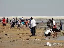西班牙南部华人兴起赶海采贝热 因涉嫌非法渔猎遭警察抓捕