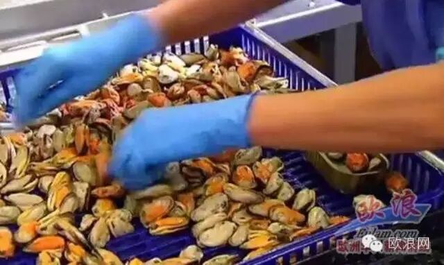 工资不够发 食物来补 西班牙罐头厂将30%的工资兑现成罐头发给工人