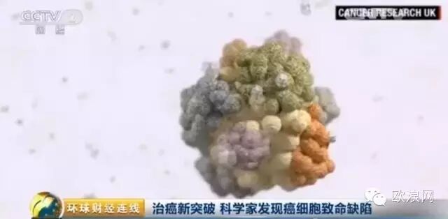 【利好】重大突破！癌症的"死穴"已找到，或有药可救了！