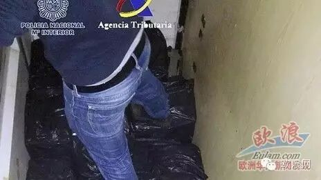 西班牙警方缴获5吨大麻 逮捕20人，其中包括3名警察