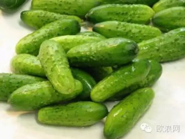 黄瓜是神药，80%人却不知道！