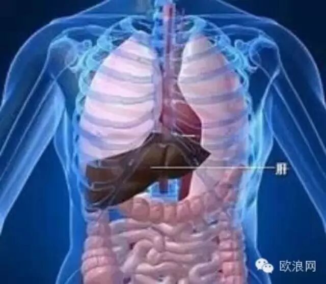 在家吃饭也会诱发肝癌？原来是它惹的祸！