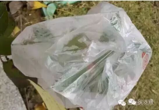 【提醒】千万别把装菜的塑料袋放进冰箱，否则~