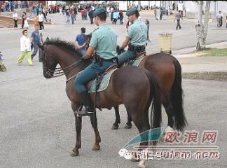 加泰将面向华裔招收警察 成为旅西华人侨界发展的重要里程碑
