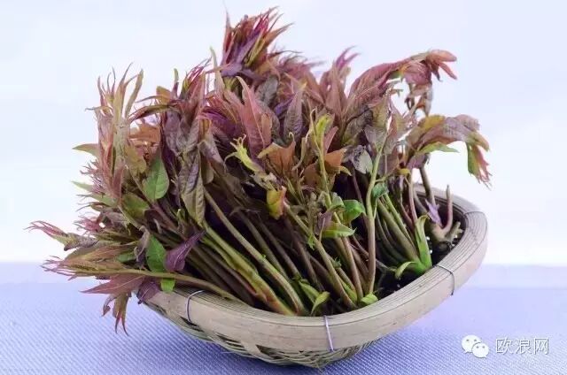 【健康】春天到了，这6种绿叶蔬菜一定要吃！