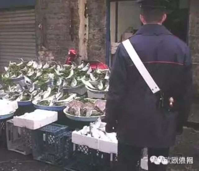 执法人员对中餐馆进行持续检查 亚洲海产品成检查重点
