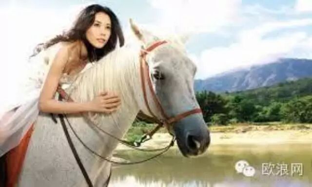 西班牙小伙骑白马向广州姑娘求婚