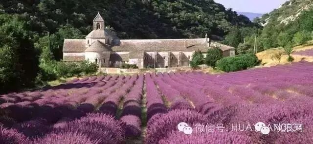 马德里出发2015年7月10日南法看薰衣草，向日葵的走起！首发三天两夜！报名截止6月30日
