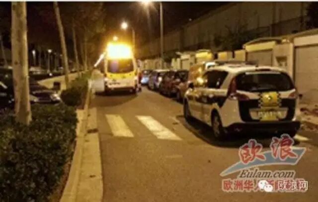2015年，西侨界发生重大交通事故5起，暴力纠纷7起，死伤超过13人