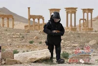 文化宝藏掠夺成全球问题，西班牙建立文化蓝盔迫在眉睫