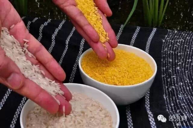转基因食品 能不能放心吃？我们还能吃什么