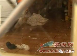 西民众：我们有权为自身安全而反抗！山东侨胞正当防卫致死一抢劫犯后续