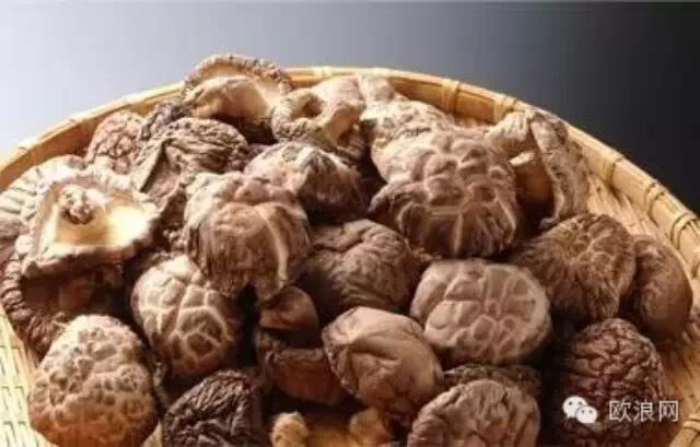 不同"蘑菇"不同营养，学好方法是关