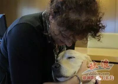 西华人殴打盲女案后续：“更糟糕的是我儿子目睹了我被打的全过程”