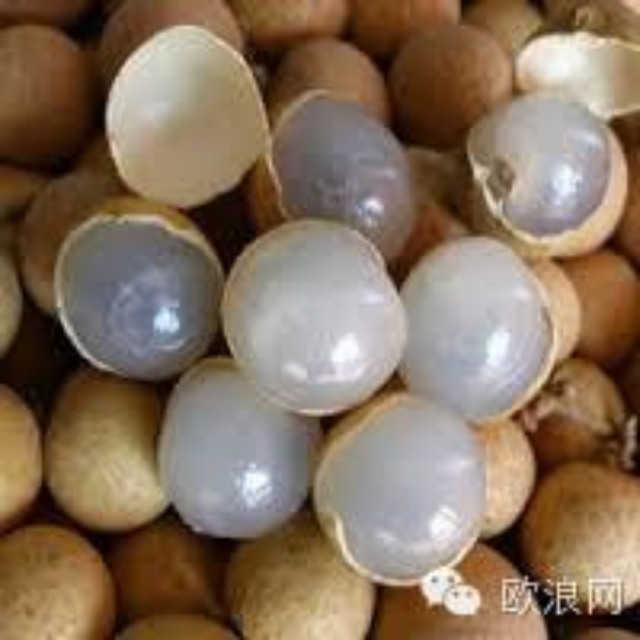 桂圆是个宝，可惜很多人不懂吃 看看吧