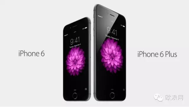 香港全城疯抢iPhone 6 苹果网几近瘫痪