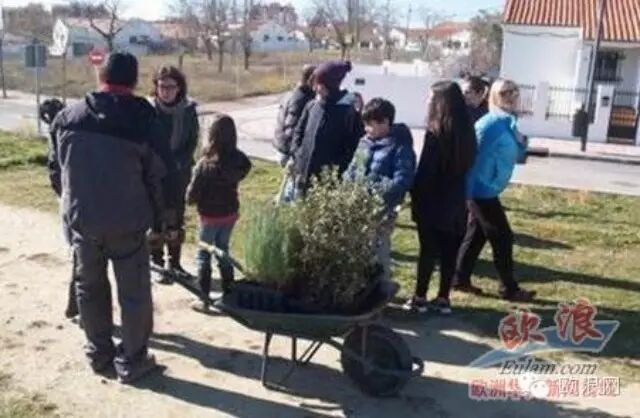 马德里居民发动植树行动，阻止王健林投资计划