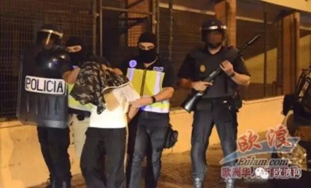 马德里轿车撞向大树 造成一死一伤