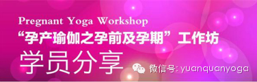 林爽老师和她的私教会员