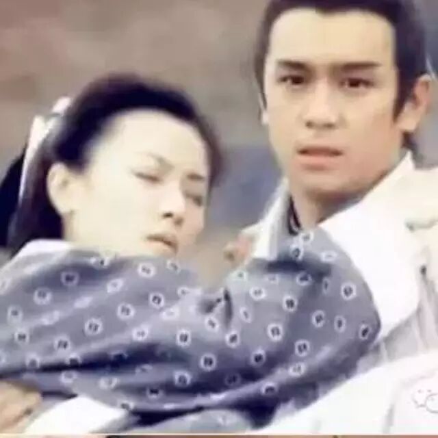 已经从白面小生糊成雷剧天王的陈浩民,还想要五个老婆?...