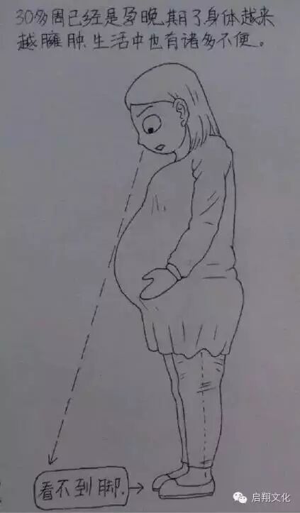 【启翔教育】辛苦而幸福!网友手绘老婆怀孕过程,满满都是爱!-怀孕期