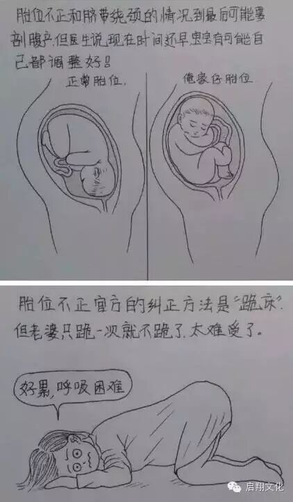 【启翔教育】辛苦而幸福!网友手绘老婆怀孕过程,满满都是爱!-怀孕期