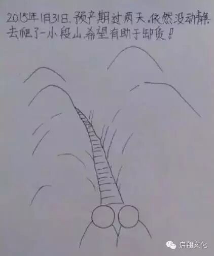 【启翔教育】辛苦而幸福!网友手绘老婆怀孕过程,满满都是爱!-怀孕期