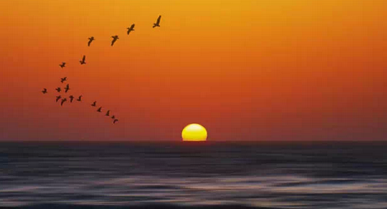 深圳十大看日出的好地方~较场尾居然又是第一