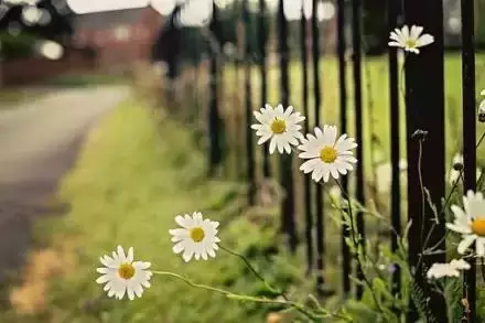 与其低头赌气，不如抬头争气 第1张