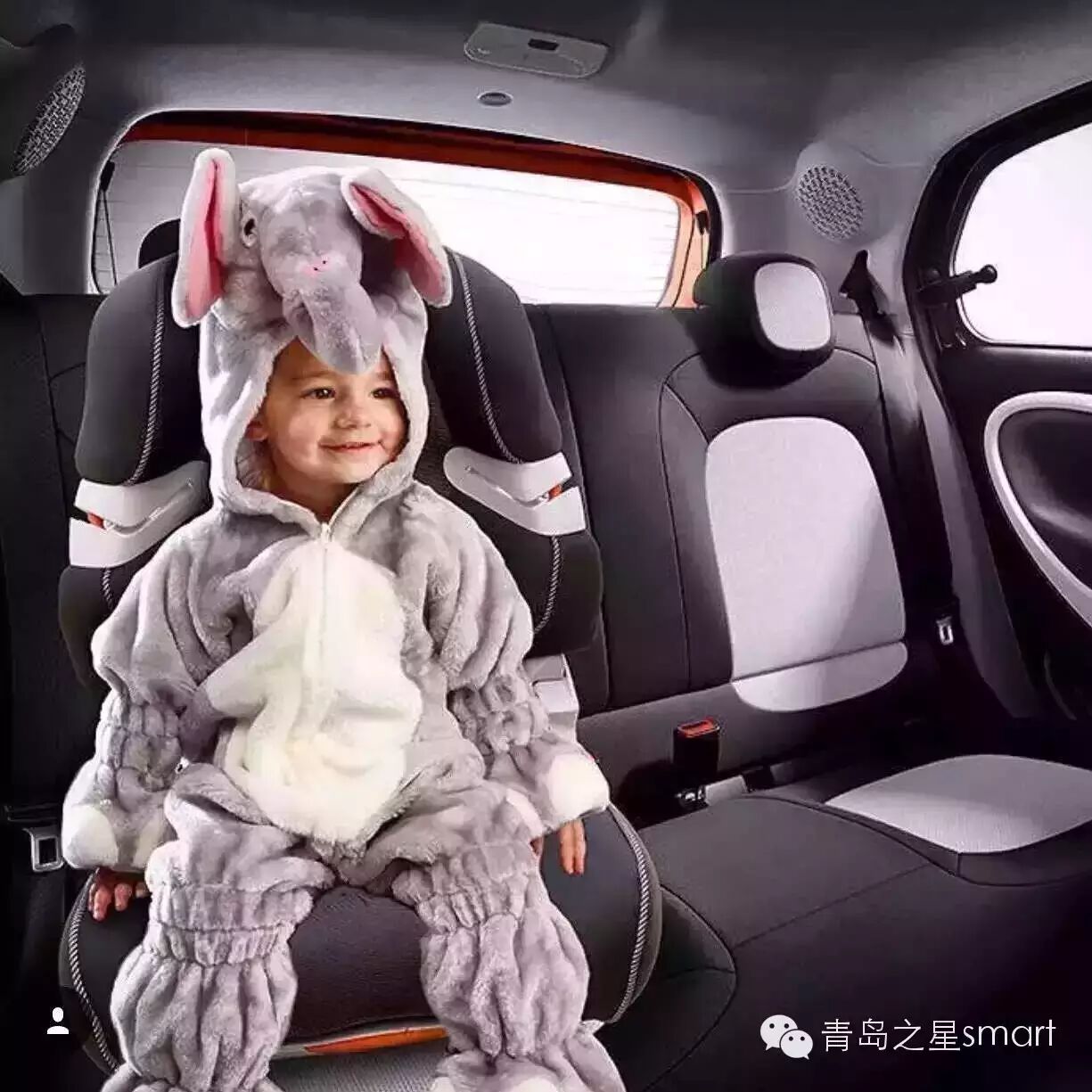 车迷们可安心生二胎了——青岛之星现已开始预订-怀孕期