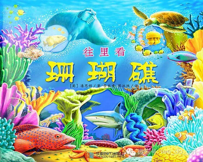 英国原版引进3d立体童书《珊瑚礁》畅销欧美50万册