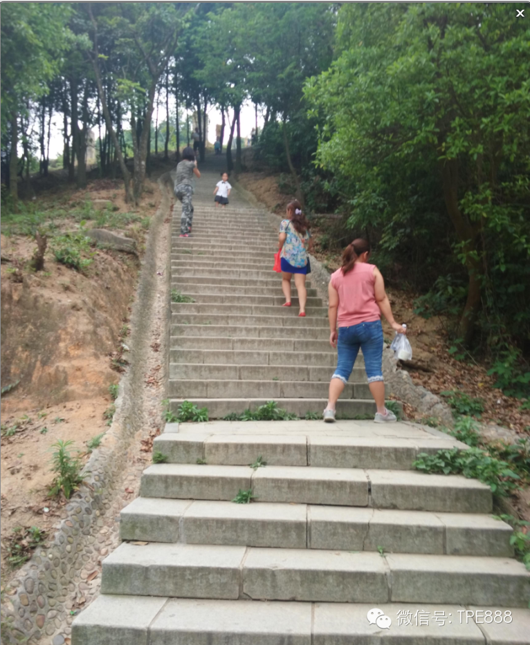 [TPE久烁]第22届周周户外活动---探秘羊台山