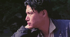 学友哥教育华仔那一段戏,比华仔和张曼玉的吻戏更能打动人.