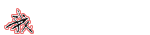 养鱼