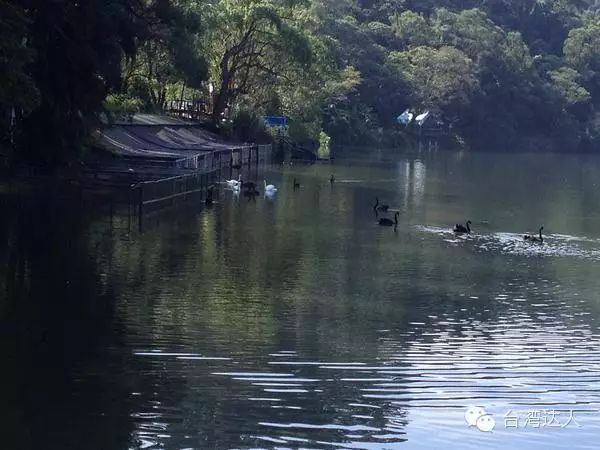 这些才是你去台湾的理由！这些才是台湾旅游最值得去的地方！