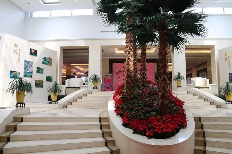 山峽航空首屆《愛情飛行季開幕暨產(chǎn)品發(fā)布會(huì)》如期舉行