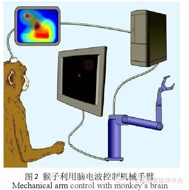 如图2所示,研究人员在受训练的猴子的大脑运动皮层插入特殊设计的中空